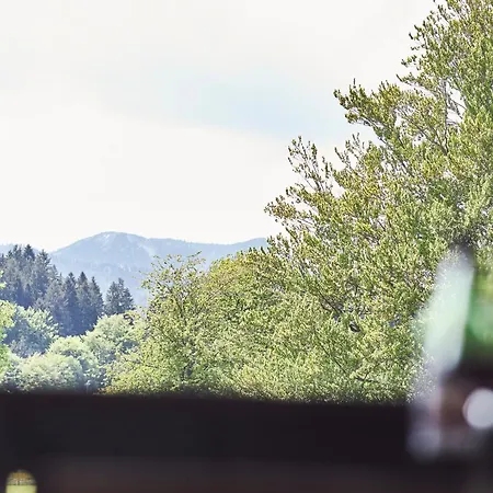 Apartment Sonnhof Tegernsee - Zentral Und Perfekt Fuer Urlaub & Arbeit Bad Wiessee