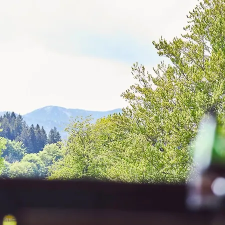 Sonnhof Tegernsee - Zentral Und Perfekt Fuer Urlaub & Arbeit * Bad Wiessee