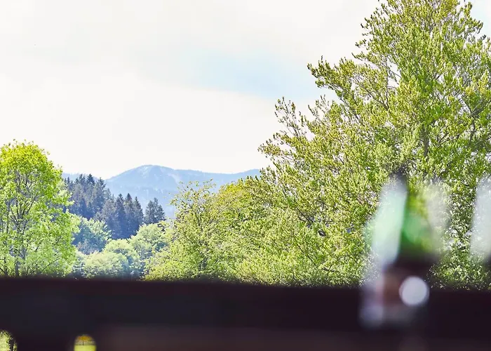 Sonnhof Tegernsee - Zentral Und Perfekt Für Urlaub&arbeit * Bad Wiessee